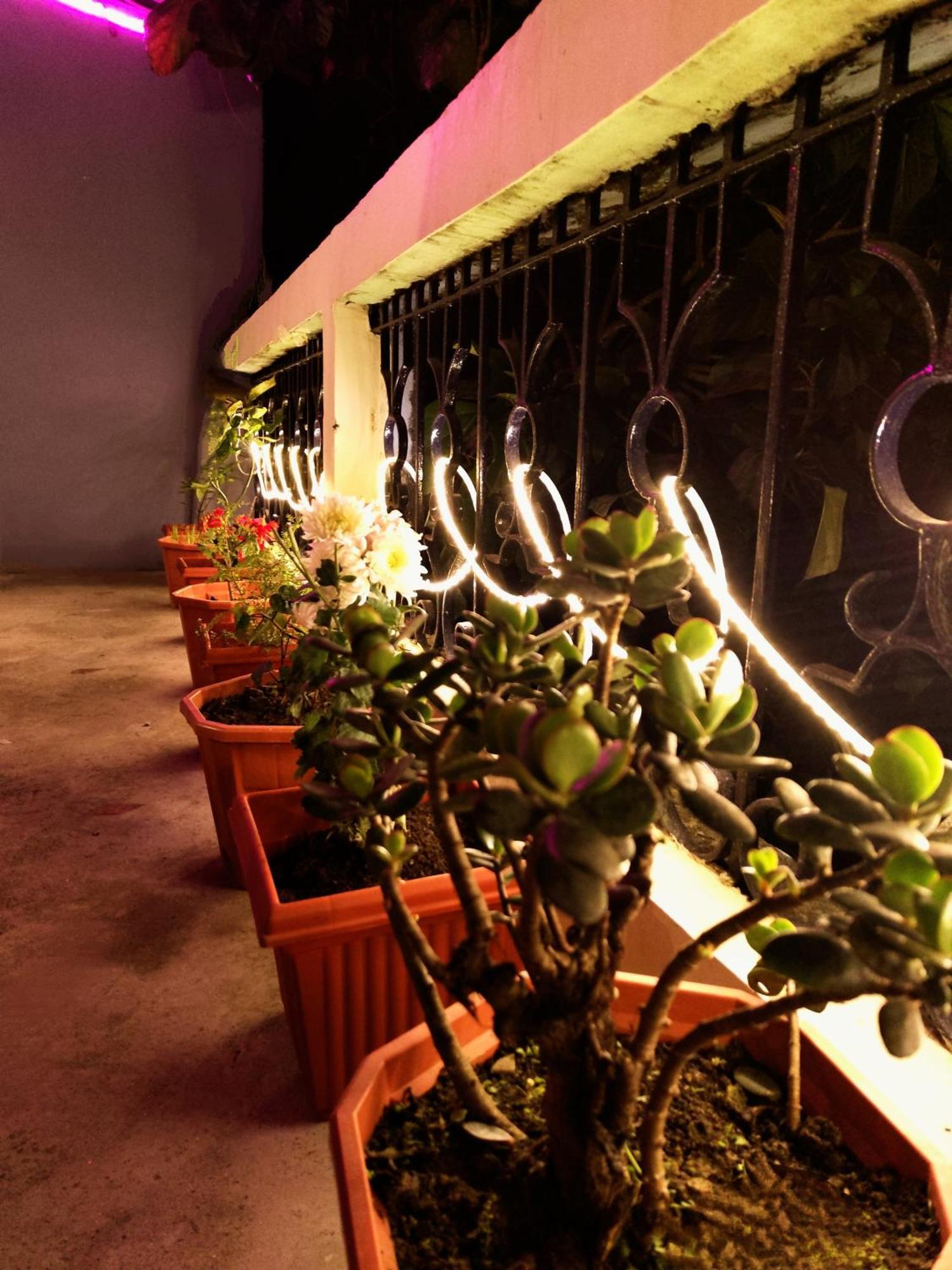 다르질링 Hidden Monkey Backpackers, Railway Station, Darjeeling 호스텔 외부 사진